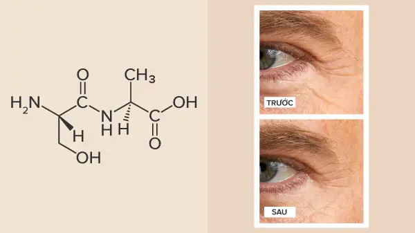 alt: Hình ảnh minh họa Peptide giúp cải thiện kết cấu da và giảm nếp nhăn