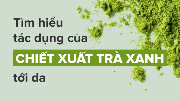 alt: Tách trà xanh và lá trà tươi