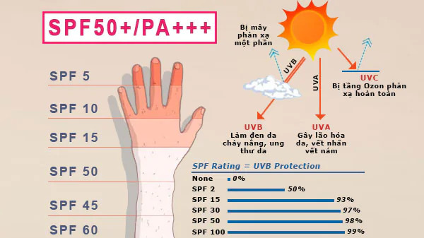 alt text: Hình ảnh minh họa chỉ số SPF trên bao bì kem chống nắng và giải thích ý nghĩa của nó.