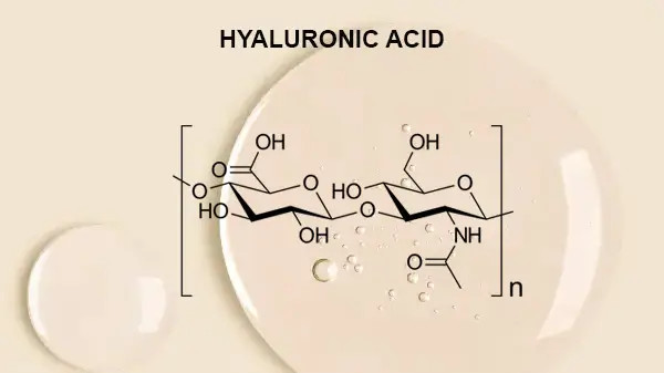 Cấu trúc hóa học của Hyaluronic Acid