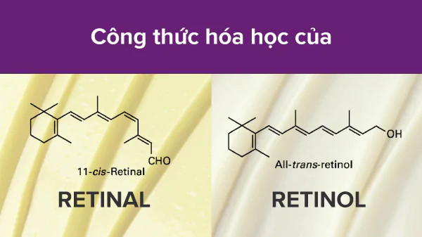 Cấu trúc hóa học Retinal và Retinol