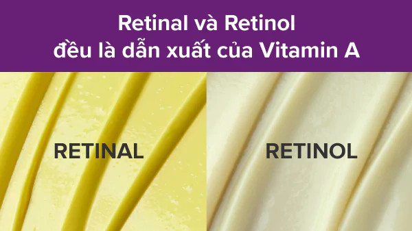 Retinal và Retinol: Điểm chung