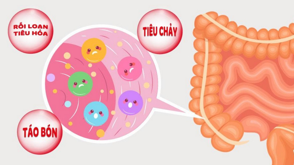 Bột gạo lứt mè đen ngăn ngừa tình trạng táo bón