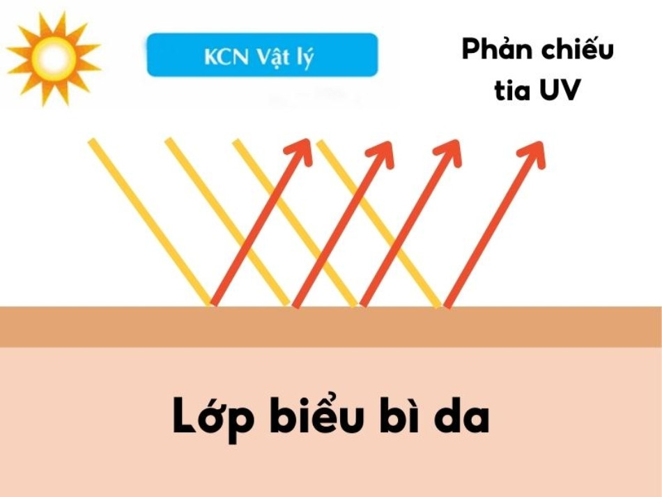 Top 13 kem chống nắng vật lý tốt nhất được khuyên dùng