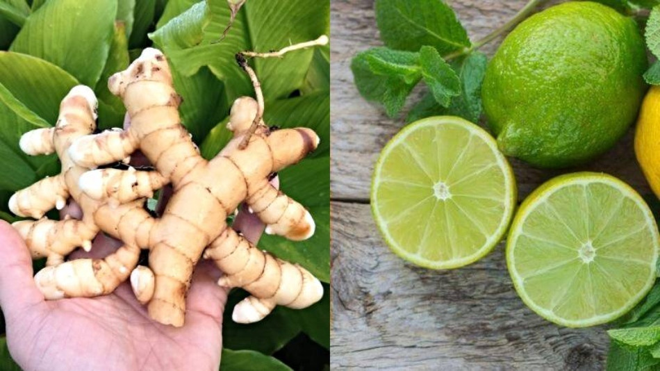 Kết hợp nghệ trắng và chanh tươi để dưỡng trắng