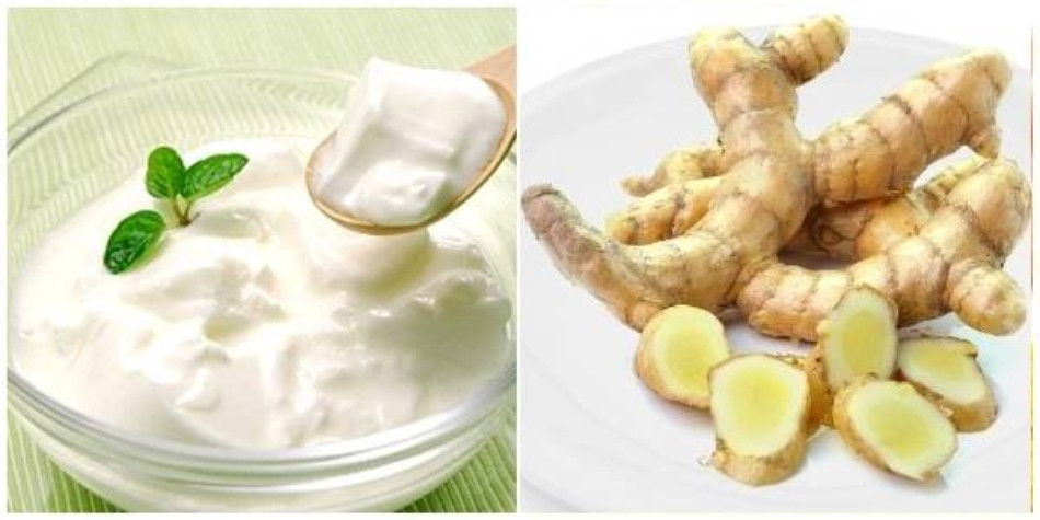 Kết hợp nghệ trắng với sữa chua không đường để chống lão hóa da