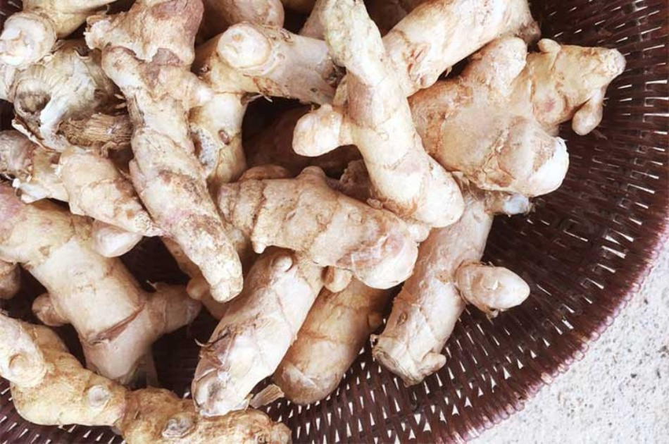 Lựa chọn nghệ trắng có nguồn gốc xuất xứ rõ ràng và sử dụng đúng liều lượng