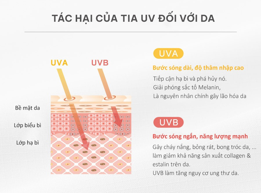 Bức xạ tia UV đốt cháy da như thế nào?