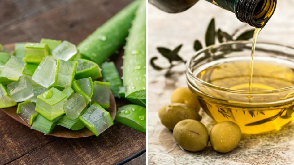 Ủ tóc với nha đam và dầu olive