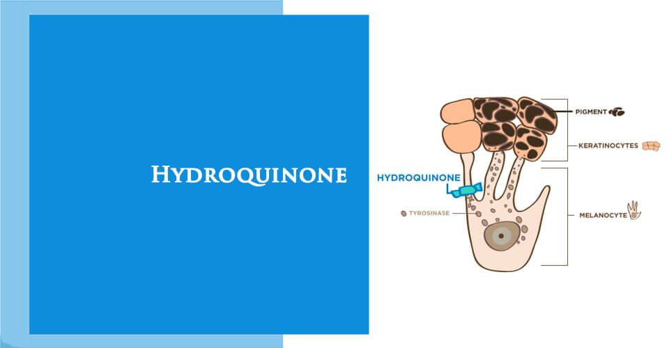 Hydroquinone