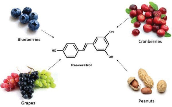 Resveratrol – Thần dược cho làn da bạn