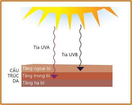 Hiểu Rõ Tác Động Của Ánh Nắng Đến Da Của Bạn