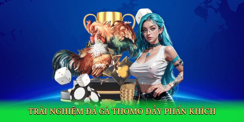 Đá Gà Thomo: Khám Phá Đấu Trường Số Phấn Khích Tại MOTO88