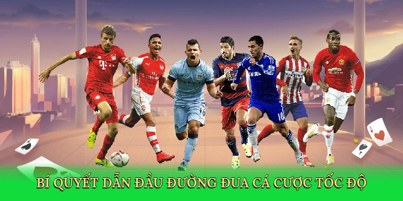 Bí quyết dẫn đầu đường đua cá cược tốc độ