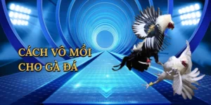 Tiến Lên Miền Nam Có Thối Không – Bí Quyết Thắng Lớn Tại 78Win