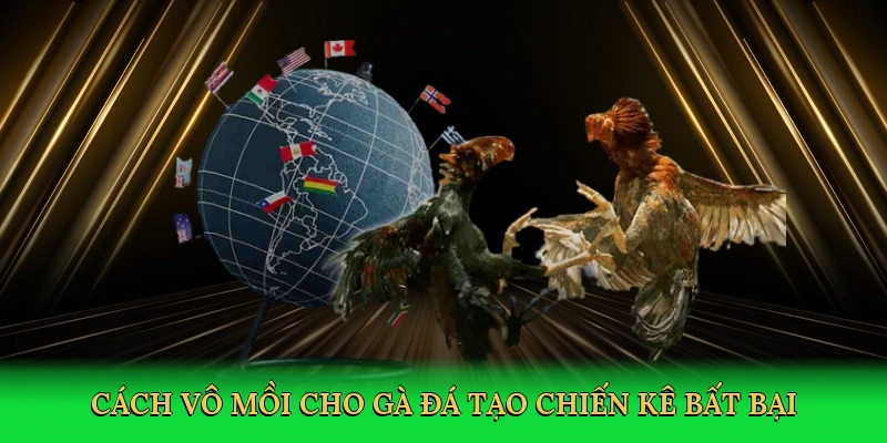 Cách vô mồi cho gà đá tạo chiến kê bất bại