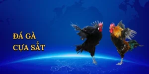 Tài Xỉu Online – Đấu Trí Kịch Tính Tại King88
