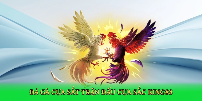 Đá Gà Cựa Sắt – Lò Luyện Cựa Sắt Tại King88