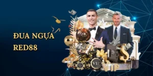 Poker Go789: Chinh Phục Sòng Bài Trí Tuệ