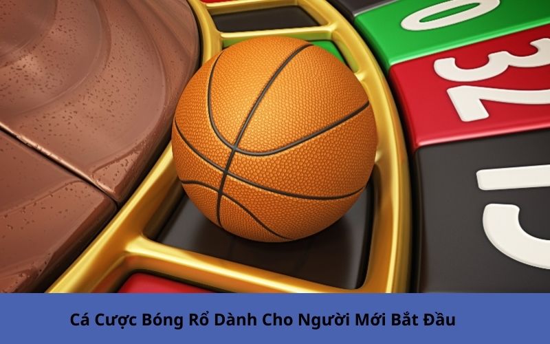 Cá Cược Bóng Rổ Dành Cho Người Mới Bắt Đầu