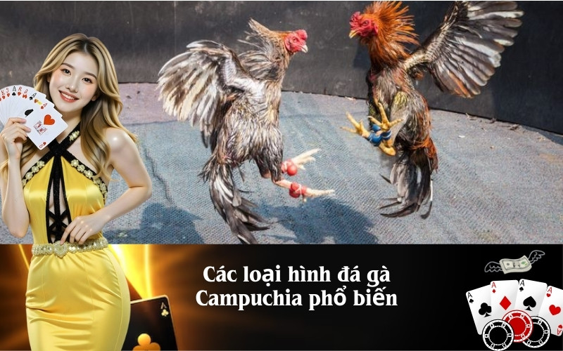 Trải nghiệm đá gà Campuchia đỉnh cao tại DagaWin.live