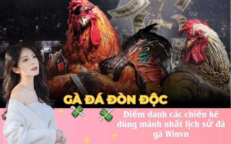 Điểm danh các chiến kê dũng mãnh nhất lịch sử đá gà Winvn