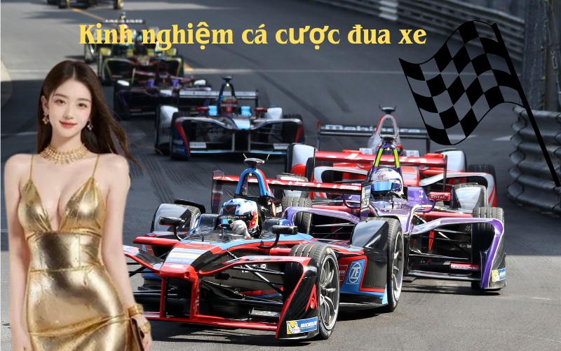 Kinh nghiệm cá cược đua xe F1 hiệu quả cho người mới tại SV 368