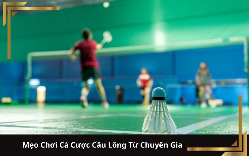 Mẹo Chơi Cá Cược Cầu Lông Từ Chuyên Gia