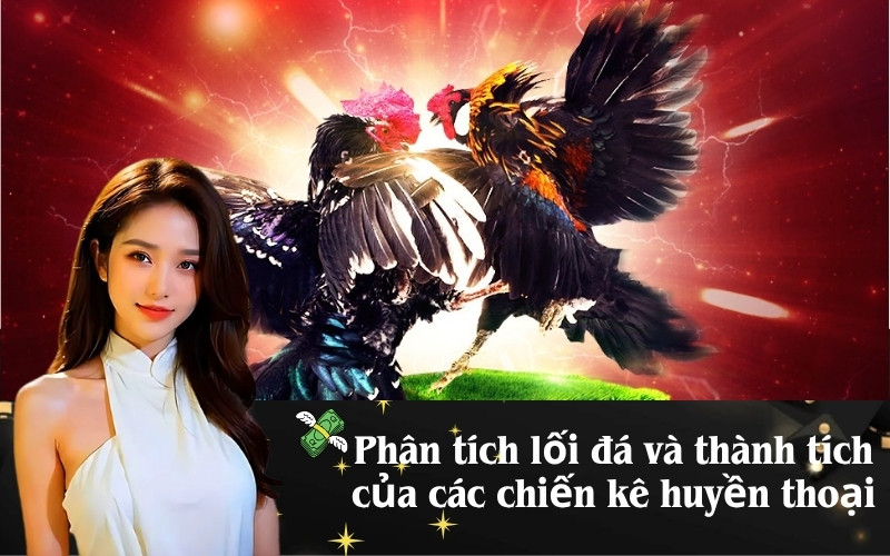 Phân tích lối đá và thành tích của các chiến kê huyền thoại