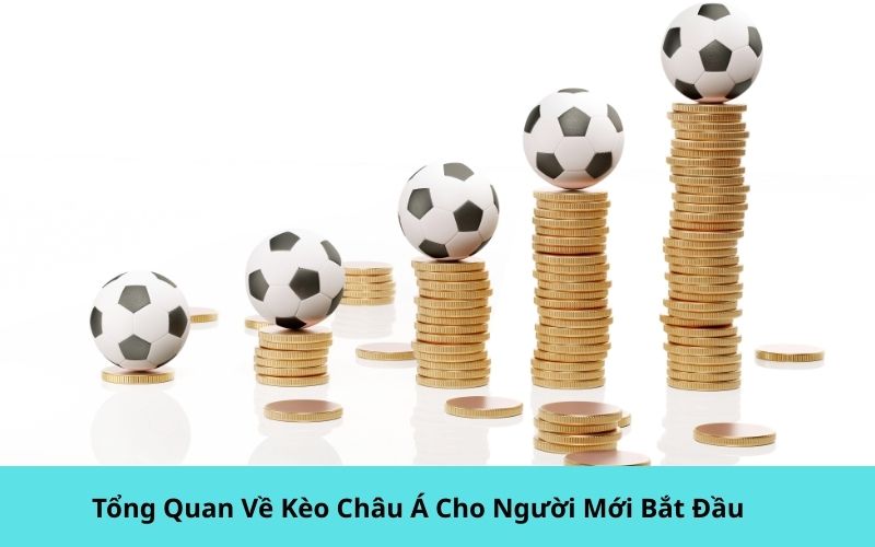Tổng Quan Về Kèo Châu Á Cho Người Mới Bắt Đầu
