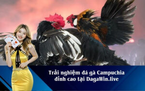 Quy trình nạp tiền Kubet77 an toàn và hiệu quả